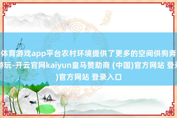 体育游戏app平台农村环境提供了更多的空间供狗奔波和游玩-开云官网kaiyun皇马赞助商 (中国)官方网站 登录入口