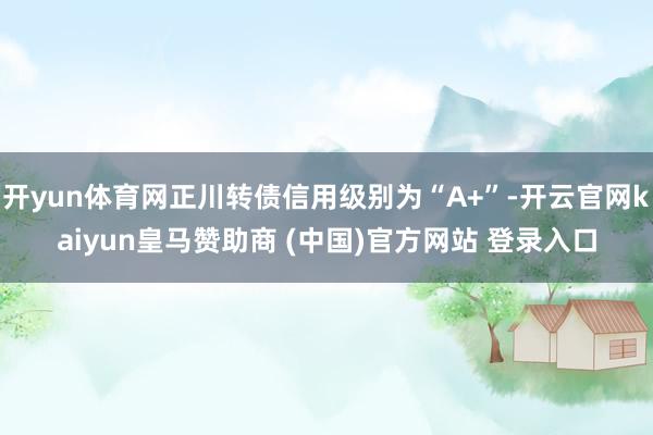 开yun体育网正川转债信用级别为“A+”-开云官网kaiyun皇马赞助商 (中国)官方网站 登录入口