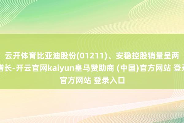 云开体育比亚迪股份(01211)、安稳控股销量呈两位数增长-开云官网kaiyun皇马赞助商 (中国)官方网站 登录入口