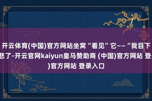 开云体育(中国)官方网站坐窝“看见”它——“我目下怒了/悲了-开云官网kaiyun皇马赞助商 (中国)官方网站 登录入口